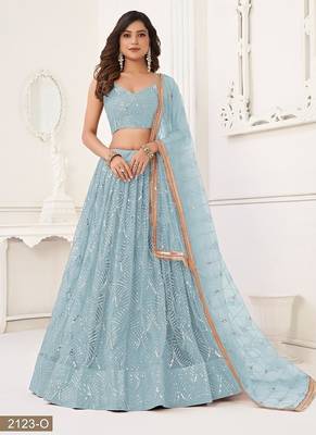 Sky Blue Net Embroidered & Thread Work Semi Stitched Lehenga Choli 3
