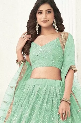 Green Net Embroidered & Thread Work Semi Stitched Lehenga Choli