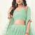 Green Net Embroidered & Thread Work Semi Stitched Lehenga Choli