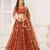 Brown Net Embroidered & Thread Work Semi Stitched Lehenga Choli