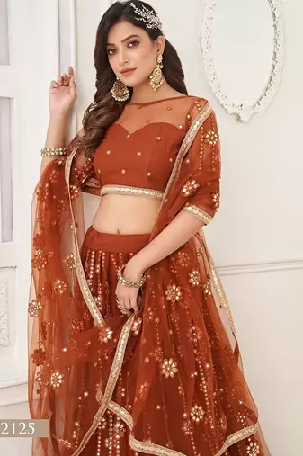 Brown Net Embroidered & Thread Work Semi Stitched Lehenga Choli