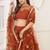 Brown Net Embroidered & Thread Work Semi Stitched Lehenga Choli