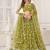 Green Net Embroidered & Thread Work Semi Stitched Lehenga Choli