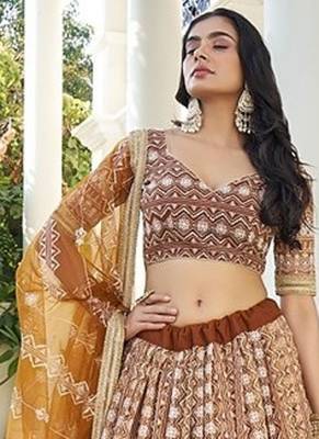 Brown Net Embroidered & Thread Work Semi Stitched Lehenga Choli 2