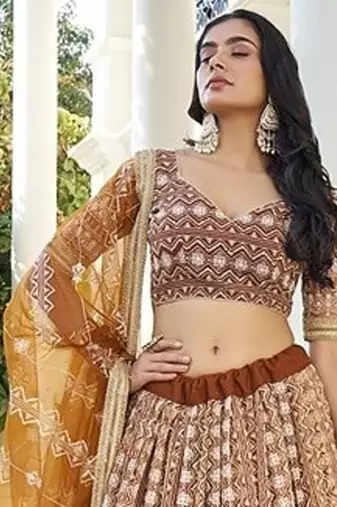 Brown Net Embroidered & Thread Work Semi Stitched Lehenga Choli