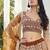 Brown Net Embroidered & Thread Work Semi Stitched Lehenga Choli