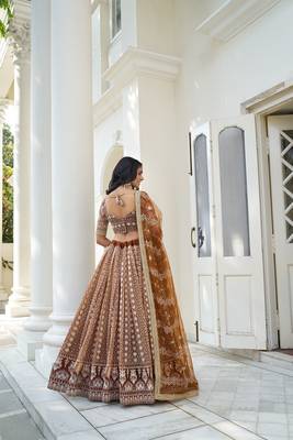 Brown Net Embroidered & Thread Work Semi Stitched Lehenga Choli 3