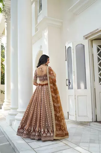 Brown Net Embroidered & Thread Work Semi Stitched Lehenga Choli