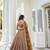 Brown Net Embroidered & Thread Work Semi Stitched Lehenga Choli