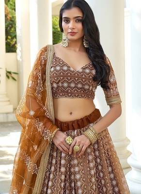 Brown Net Embroidered & Thread Work Semi Stitched Lehenga Choli 4