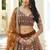 Brown Net Embroidered & Thread Work Semi Stitched Lehenga Choli