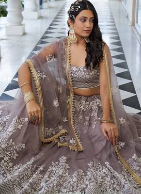 Brown Net Embroidered & Thread Work Semi Stitched Lehenga Choli 3