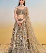 Ivory Net Embroidered & Thread Work Semi Stitched Lehenga Choli