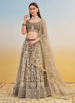 Ivory Net Embroidered & Thread Work Semi Stitched Lehenga Choli 2