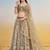Ivory Net Embroidered & Thread Work Semi Stitched Lehenga Choli