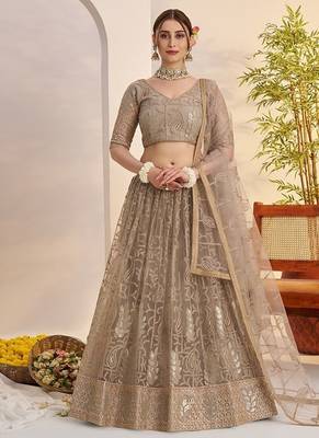 Grey Net Embroidered & Thread Work Semi Stitched Lehenga Choli 1