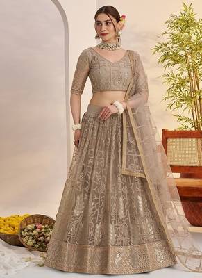 Grey Net Embroidered & Thread Work Semi Stitched Lehenga Choli 2