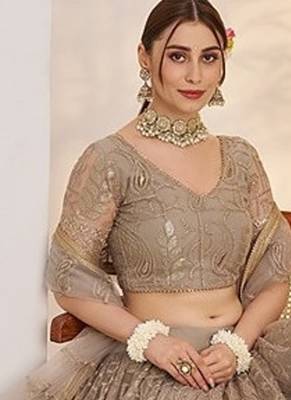 Grey Net Embroidered & Thread Work Semi Stitched Lehenga Choli 3