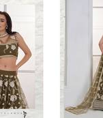 Green Net Embroidered & Thread Work Semi Stitched Lehenga Choli