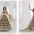 Green Net Embroidered & Thread Work Semi Stitched Lehenga Choli