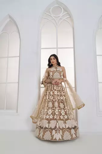 Beige Net Embroidered & Thread Work Semi Stitched Lehenga Choli