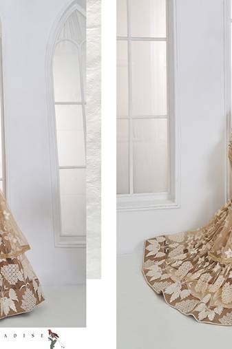 Beige Net Embroidered & Thread Work Semi Stitched Lehenga Choli