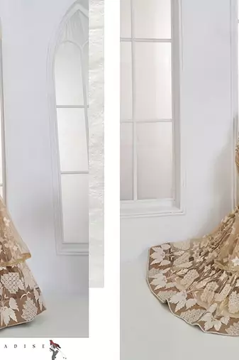 Beige Net Embroidered & Thread Work Semi Stitched Lehenga Choli