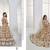 Beige Net Embroidered & Thread Work Semi Stitched Lehenga Choli