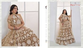 Beige Net Embroidered & Thread Work Semi Stitched Lehenga Choli 2