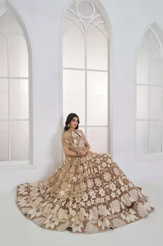 Beige Net Embroidered & Thread Work Semi Stitched Lehenga Choli