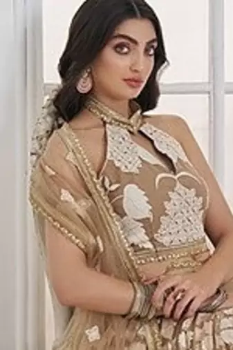 Beige Net Embroidered & Thread Work Semi Stitched Lehenga Choli
