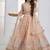 Peach Net Embroidered & Thread Work Semi Stitched Lehenga Choli