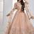 Peach Net Embroidered & Thread Work Semi Stitched Lehenga Choli
