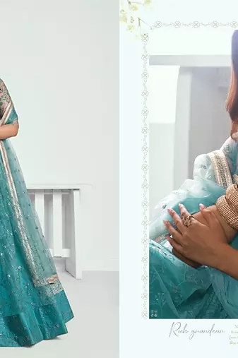 Blue Net Embroidered & Thread Work Semi Stitched Lehenga Choli