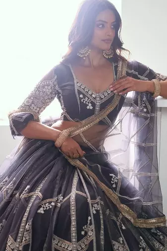 Dark Grey Net Embroidered & Thread Work Semi Stitched Lehenga Choli