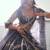 Dark Grey Net Embroidered & Thread Work Semi Stitched Lehenga Choli