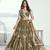 Green Net Embroidered & Thread Work Semi Stitched Lehenga Choli