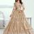Beige Net Embroidered & Thread Work Semi Stitched Lehenga Choli