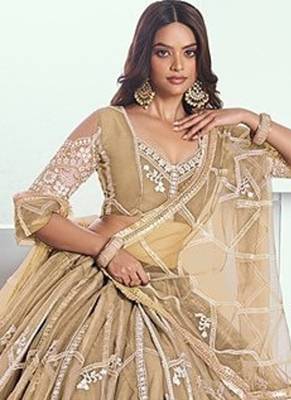 Beige Net Embroidered & Thread Work Semi Stitched Lehenga Choli 2