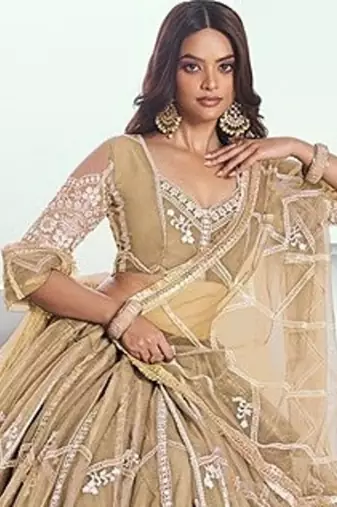 Beige Net Embroidered & Thread Work Semi Stitched Lehenga Choli