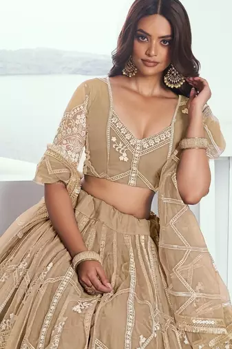 Beige Net Embroidered & Thread Work Semi Stitched Lehenga Choli