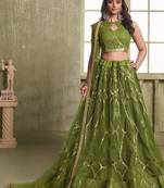 Green Net Embroidered & Thread Work Semi Stitched Lehenga Choli