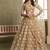 Brown Net Embroidered & Thread Work Semi Stitched Lehenga Choli