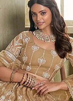 Brown Net Embroidered & Thread Work Semi Stitched Lehenga Choli 2