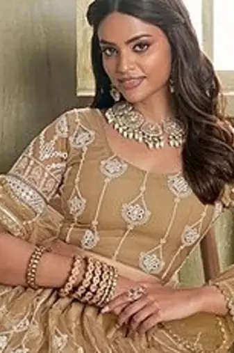 Brown Net Embroidered & Thread Work Semi Stitched Lehenga Choli