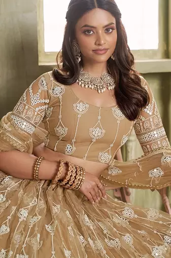Brown Net Embroidered & Thread Work Semi Stitched Lehenga Choli