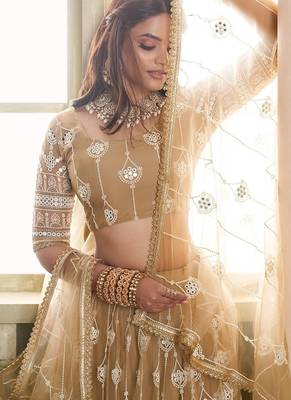 Brown Net Embroidered & Thread Work Semi Stitched Lehenga Choli 4