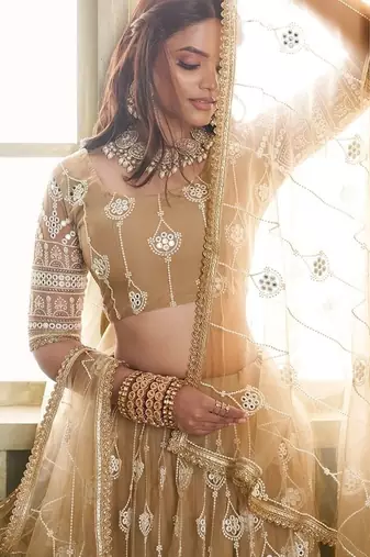 Brown Net Embroidered & Thread Work Semi Stitched Lehenga Choli
