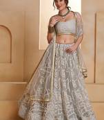 Grey Net Embroidered & Thread Work Semi Stitched Lehenga Choli