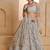Grey Net Embroidered & Thread Work Semi Stitched Lehenga Choli